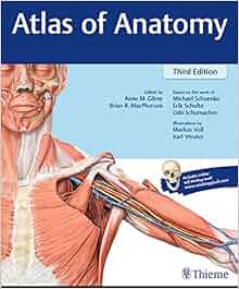 Atlas of Anatomy: 9781626232525: Medicine & Health Science Books