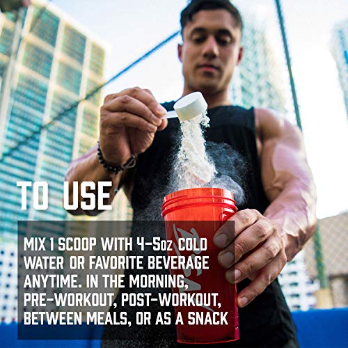 BSN SYNTHA6 Isolate Protein Powder, Chocolate Protein Powder with Whey