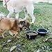Serene Pet Collapsible Dog Bowls - 2 Pack for Food or Water, With Carabiners, Travel Dog Bowl for Medium and Large Size Pets, Food Grade Silicone, FDA Approved, Big Cat Dish