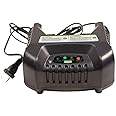 ION Ice Fishing Battery Charger, Black