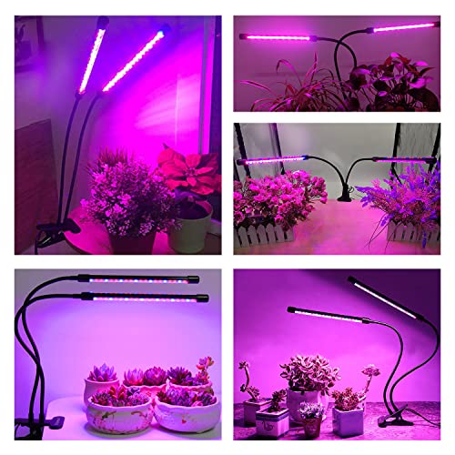 Grow Light Plant Light for Indoor Plants, Full Spectrum Plant Grow