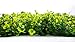 Ranka Artificial Myrtle Greenery Panels 40x40 inches
