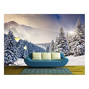 BRAND_NAMEFantastic Evening Winter Landscape Dramatic Overcast Sky Creative...