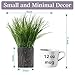 Artificial Plants Fern Fake Shrubs Bushe 11