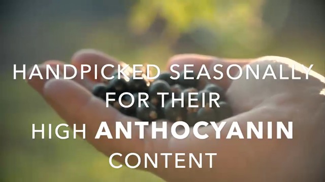 Black-Elderberry-Capsules-1000mg-100-Count-Super-Concentrated-Sambucus-Extract-Non-GMO-Gluten-Free-by-Natures-Truth