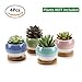 T4U 3 Inch Succulent Planters Pots Ceramic, Ball Shape Drainage Cactus Pots Window Boxes with Bamboo Tray, Set of 4