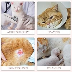 ANWA Cat Recovery Suit - Breathable Cat Surgery