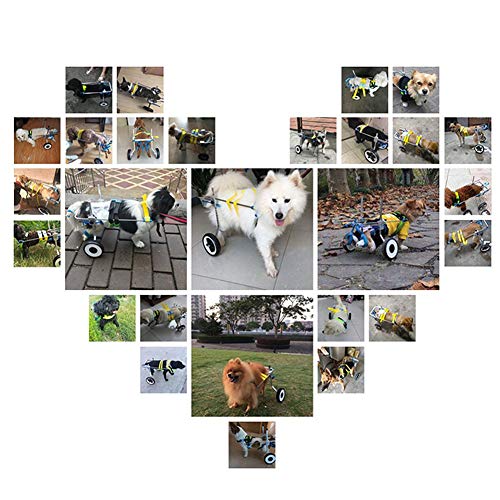 BEETLA Adjustable Pet Wheelchair for Small Dog Cat/Doggie/Puppy Walk, 2 Wheels Cart Pet Wheelchair for Handicapped Hind Legs - Thumbnail 4