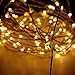 Rayhoo Outdoor String Lights, Dimmable LED String Lights for Bedroom, Patio, Party, Christmas Tree, Decorations ( 100 LEDs, 33 ft Copper Wire, Remote Control ) (Warm white)