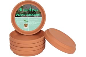 vensovo 6 Inch Terracotta Plant Saucer Pots Tray - 6 Pcs Round Planter Saucers for Indoor & Outdoor Plants, Small Clay Trays Perfect for 5 Inch 5.5 Inch 6 Inch Flower Pot