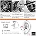 Zeadio Replacement Earmold Earbud Earpiece for Two-Way Radio Coil Tube Audio Kits, RS-02M (White, Medium, Pair of 1, 2nd Gen)