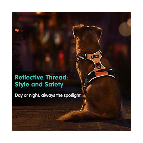 eagloo no pull dog harness