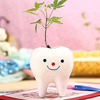 Calunce Plants Flower Pot Ceramic Flowerpot White Porcelain Home Decorate Garden Vase Desktop Mini Ornaments, 3 Style Can Be Choose, red 1pcs