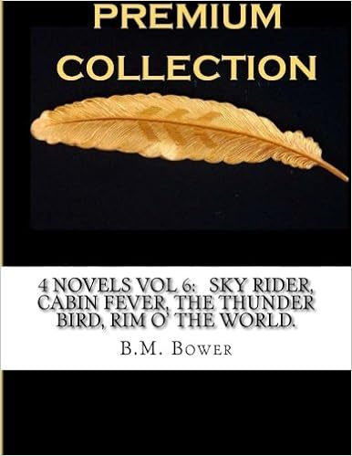 4 Novels Vol 6 Sky Rider Cabin Fever The Thunder Bird Rim O