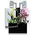 Brio Brio35 Aquaponics Sytem, Black