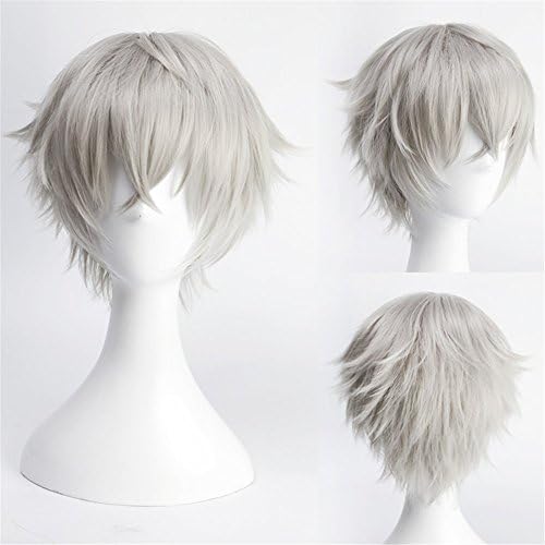 Anime Cosplay Wig Short Straight Silver Gray Paty Wigs with free cap