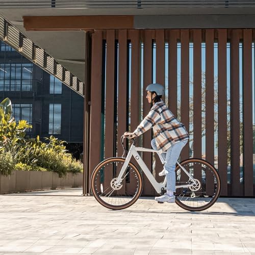 Bicicleta Eléctrica de Ciudad Sprint, 250W, Ruedas de 28", 70 Km de Autonomía, Batería 360 WH, Cambio de 8 Velocidades y Doble Disco de Freno Hidráulico