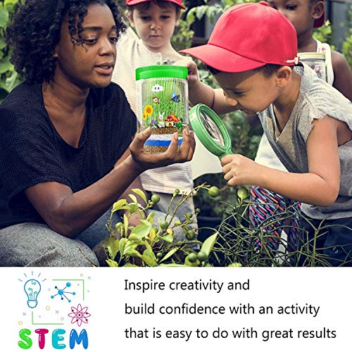 4 Terrarium+Light+up+Birthday+Educational+Miniature