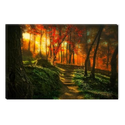 Wall Art Canvas Over Bed: Amazon.com