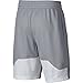 NIKE Boys' Dry HBR Athletic Shorts, Wolf Grey/White/White/Black, Large