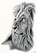 DaLin Large Temporary Tattoo Stickers, 4 Sheets (Contemplative Lion)