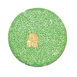 LUSH Karma Komba Solid Shampoo Bar 55g