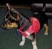 BINGPET BB5004 Polka Dot Soft Vest Dog Puppy Pet Harness Adjustable - Red