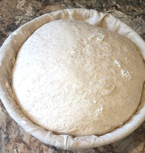 Organic San Francisco Sourdough Starter Dehydrated