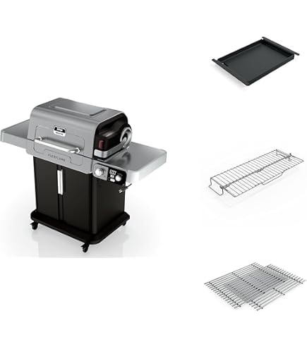 Amazon.com : Ninja FlexFlame, Pizza Kit, Electric & Propane Grill