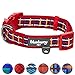 Blueberry Pet 7 Patterns Soft & Comfy Scottish Tartan Inspired Classic Plaid Check Pattern Padded Adjustable Dog Collar, Medium, Neck 14.5