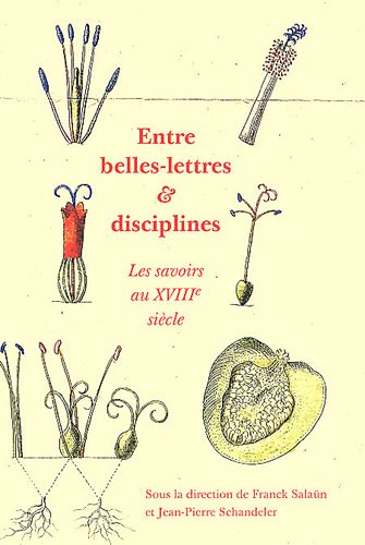 Entre belles-lettres et disciplines
