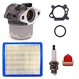 FitBest New Carburetor 799868 with Air Filter Spark Plug replaces Briggs & Stratton 498170 497586 498254 497314 497347