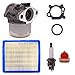 FitBest New Carburetor 799868 with Air Filter Spark Plug replaces Briggs & Stratton 498170 497586 498254 497314 497347 primary