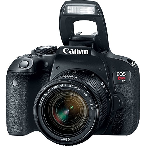 Canon-EOS-Rebel-T7i-DSLR-Camera-with-Canon-EF-S-18-55mm-f4-56-IS-STM-Lens-Canon-EF-75-300mm-f4-56-III-Lens-Canon-EF-50mm-f18-STM-Lens-500mm-f80-Telephoto-Lens-New-Accessories-Bundle