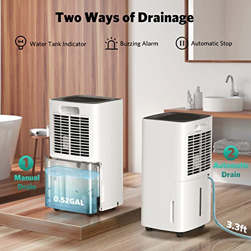 FREE VILLAGE Dehumidifier, 24 Pints Dehumidifier for Home Space Up to 1500 Sq. Ft, with Drain Hose, Auto Drainage, 0.53Gal Water Tank, 12 Hr Timer, Washable Filter, Dehumidifier for Basement, Bathroom