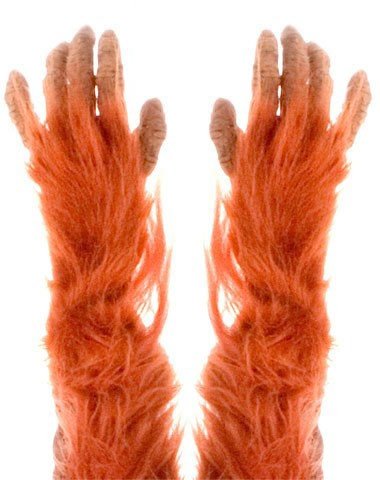 Zagone Studios Men's Orangutan Gloves