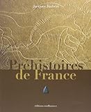 préhistoire de France (-1 000 000 / -7 000 av. J.C.) by 