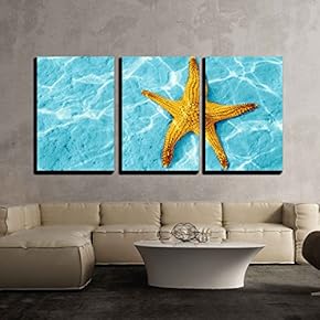3 Piece Canvas Wall Art - Starfish in Blue Water with Light Reflection. - Modern Home Art Stretched and Framed Ready to Hang - 16"x24"x3 Panels