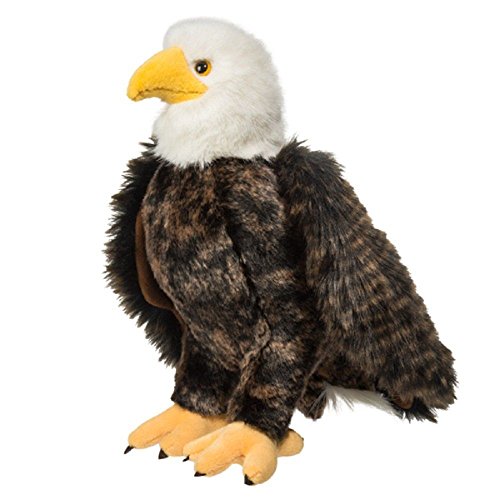 Douglas Adler Eagle