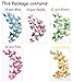 ElecMotive 60 Pcs 5 Packs Beautiful 3D Butterfly Wall Decals Removable DIY Home Decorations Art Decor Wall Stickers & Murals for Babys Bedroom TV Background Living Room (60 pcs in 5 Multi-Colors)