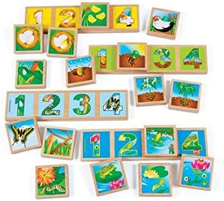 Environments 2-1/2 inch Sq. Wooden Life Cycle Sequencing Lotto, 16 Pieces, Early STEM, Ages 2 Years and Up, Kids Educational Toy