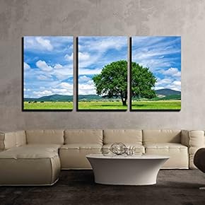 3 Piece Canvas Wall Art - Tree on Green Meadow - Modern Home Art Stretched and Framed Ready to Hang - 16"x24"x3 Panels