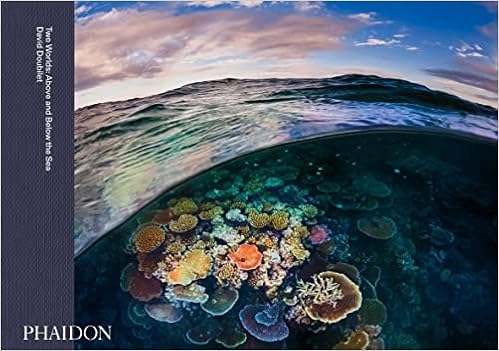 Two Worlds: Above and Below the Sea