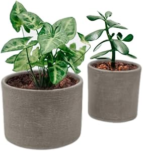 Elly Décor Set 2 Pieces 5" & 4" Ceramic Planters for Plants Succulents with Drainage Hole for Indoors and Outdoors Pot, Gray Cement