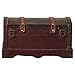 Vintiquewise(TM) Leather Wooden Chest/Trunk