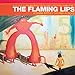 Yoshimi Battles the Pink Robots [Vinyl]