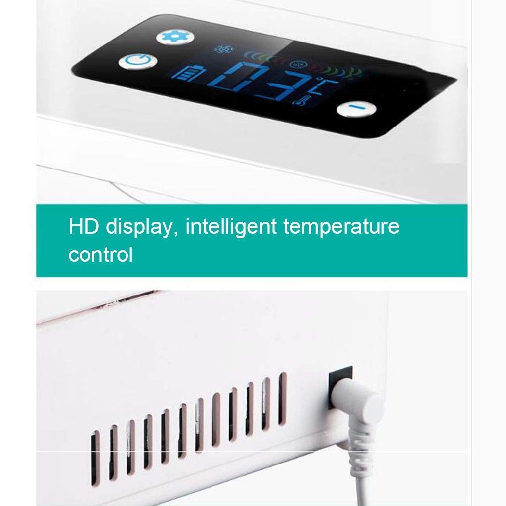 WYJW Mini refrigeradores Insulina Caja refrigerada Portátil ...