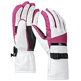 Terra Hiker Waterproof Winter Warm Ski Gloves 3M Thinsulate Snowmobile Cold Weather Gloves for Men, Women, Adult