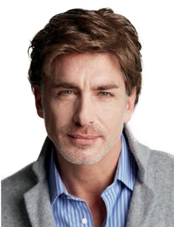 Salaibs Brown Short Wigs for Men Natural Layer Male Hair Syntehtic Heat Resistant Fiber Daily Wig Cap — image 1