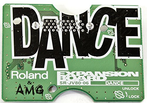 ROLAND Roland SR-JV80-06 SR JV 06 expansion board